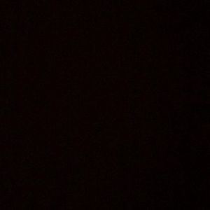 Meet your Posher, Bryce